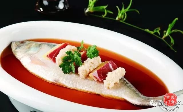 长江鲥鱼