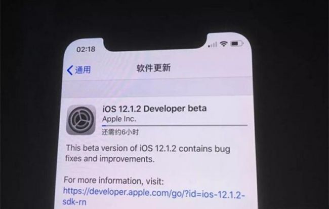 新系统酿祸端 iOS12.1.2致多款iPhone变砖无法联网