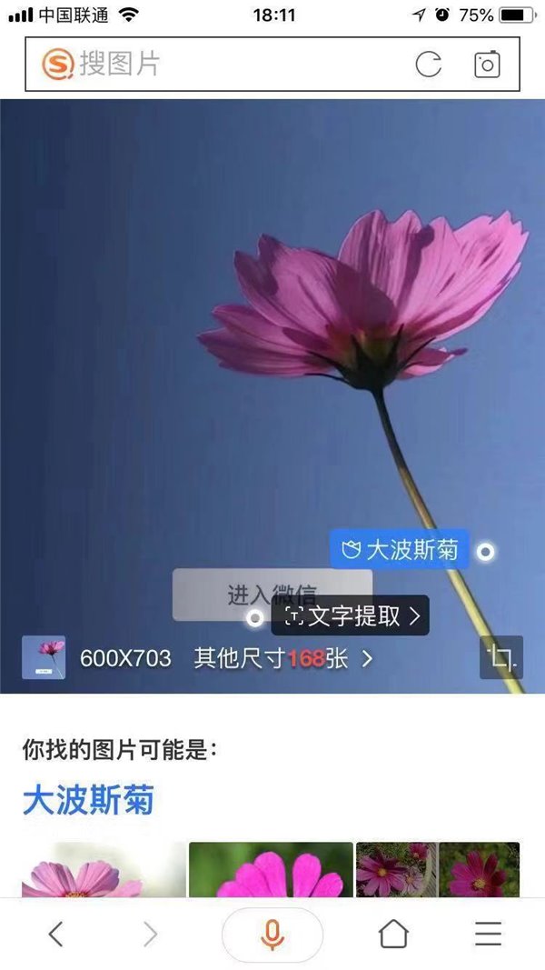 微信7.0“开屏送花” 搜狗搜索带你一起解“花语”