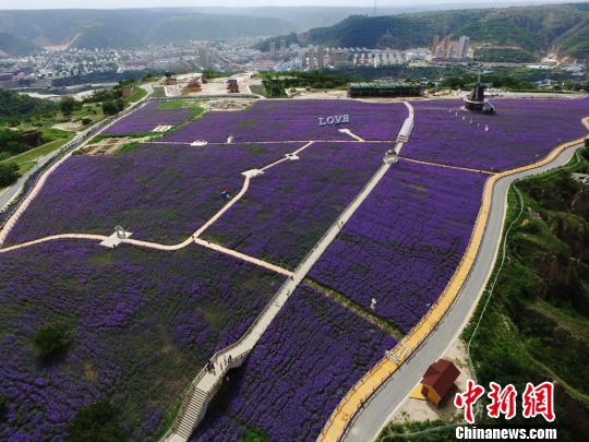 甘肃投5.5亿元防治重点流域水污染 多措助治污“爬坡过坎”