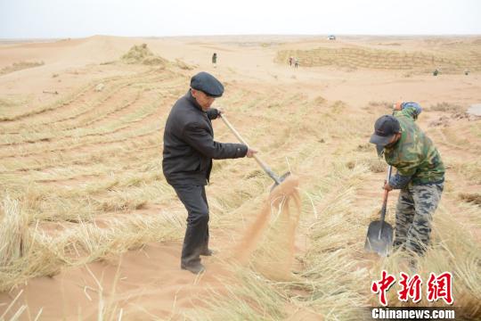 “时代楷模”分享治沙故事：唱尽沙漠艰辛的老调改了词