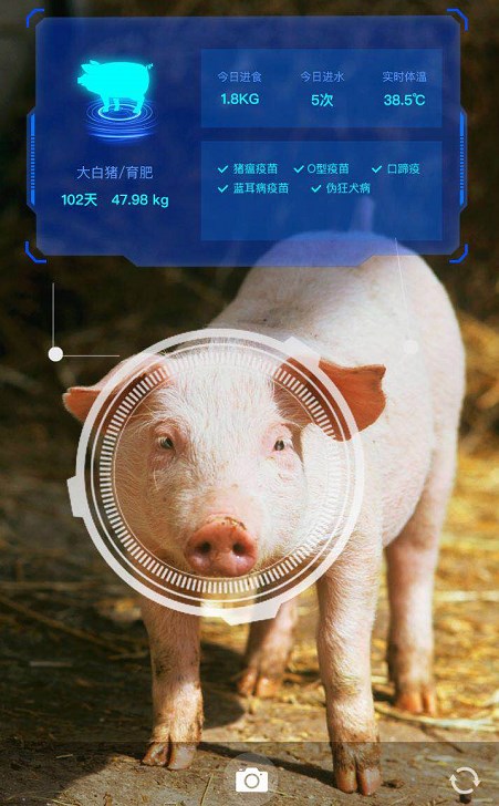 猪脸识别之后是声纹识别 京东农牧技术创新不停歇