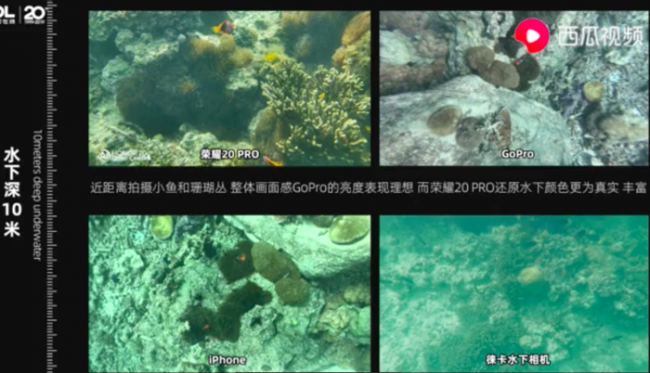 荣耀20 PRO和Go Pro 20米深海捕捉溺水怪，哪个才能无惧黑暗？