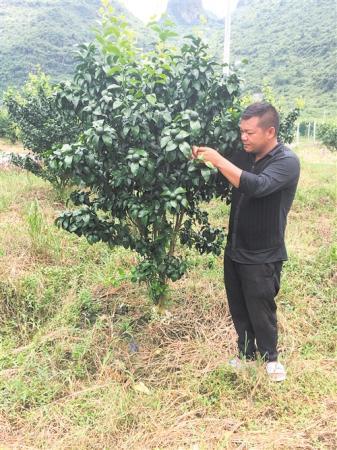 打出精准扶贫组合拳 老区焕发新活力