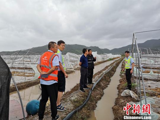 各行各业的台风“守望者”：“闻风而动”“逆风而行”