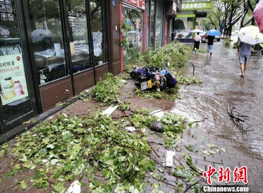 “利奇马”登陆地浙江温岭：55万人受灾 93间民房倒塌