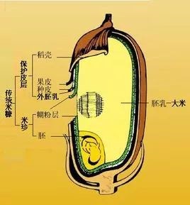 中国厂商攻破世界难题？网友：我实在编不下去了