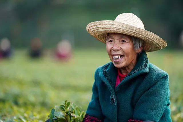 科技特派员王衍成：二十八年坚守，只为茶花满山开