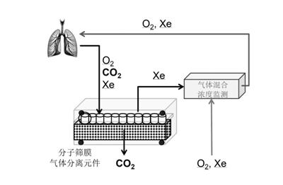 新技术能“筛”氙气 稀缺手术麻醉剂可一用再用