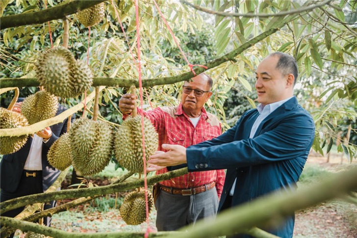 苏宁发布全民营销大数据：80后90后占比超七成，成朋友圈“买买买”主力军