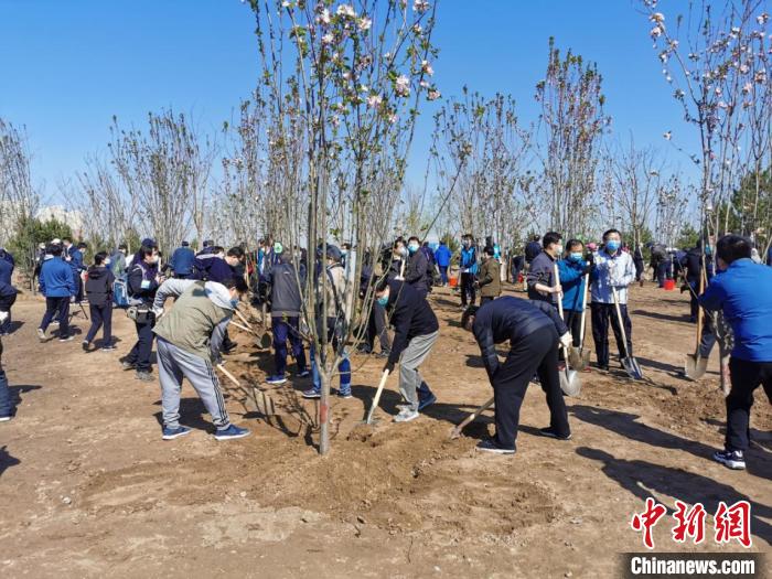 2020年共和国部长义务植树活动在京举行 共栽下树木2000余株