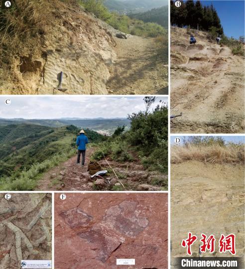 中国科学家对“鱼的故乡”古鱼化石及地层普查研究获系列进展