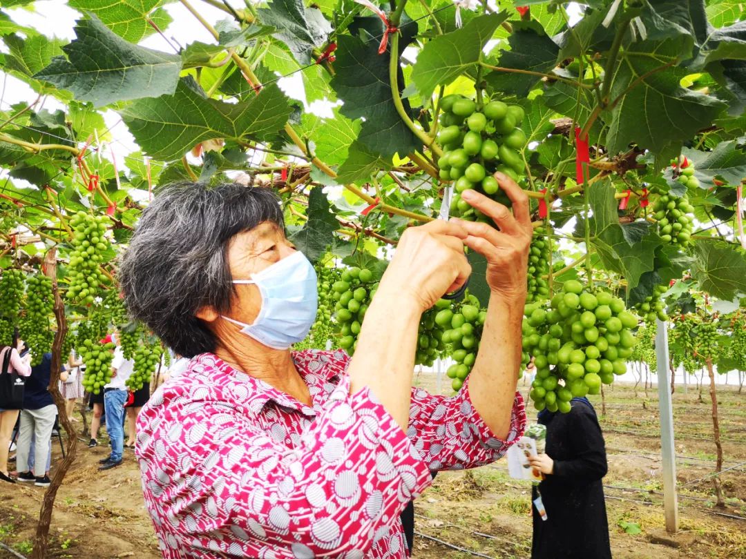 江苏南通观音山街道：党旗下，全面小康一个都不能少