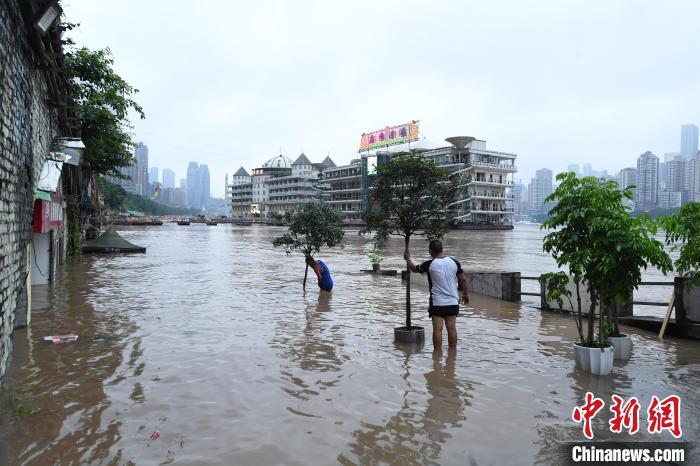重庆31个区县逾55万人受灾 死亡11人损失超8亿元