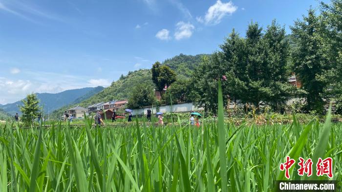 浙江国土空间生态修复：陆海同进 不负青山