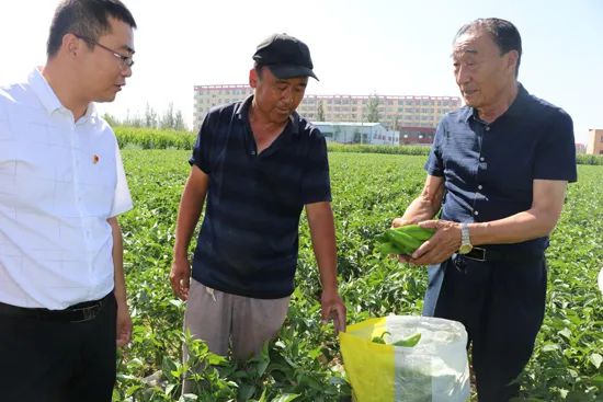 石光银：“恶沙不除，穷根不拔，我枉活一世！”