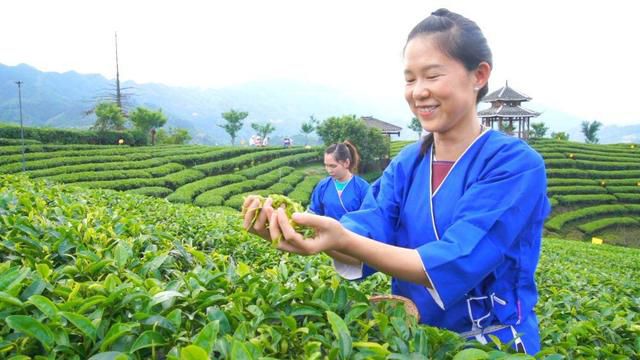 绿色跨越山水间