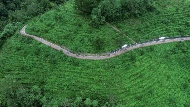 绿色跨越山水间