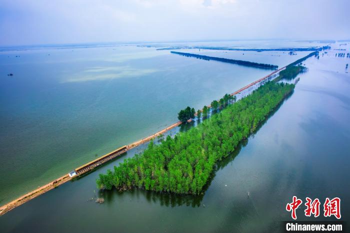 武汉沉湖国际重要湿地(材料图) 陈勇 摄