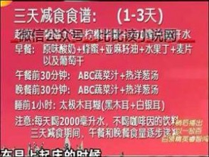 王明勇半断食疗法 百科全说王明勇肝胆排石断食排毒全集1