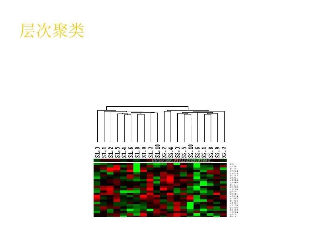 dna芯片 基因芯片分析