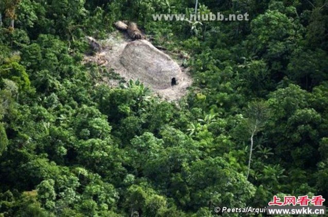 巴西在丛林中发现与世隔绝的新原始部落