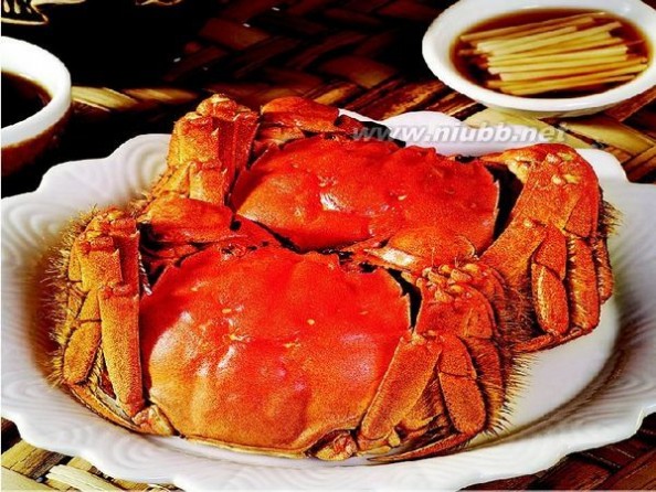 螃蟹怎么保存 螃蟹死了能吃吗 螃蟹怎么洗 螃蟹怎么杀_螃蟹怎么保存