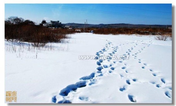 【美图欣赏】北国风光，千里冰封，万里雪飘