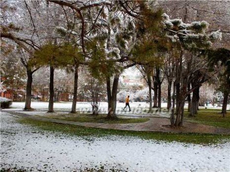 阿勒泰天气预报 新疆：阿勒泰地区大范围降雪天气