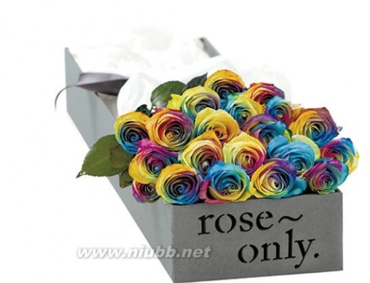 玫瑰价格 七彩玫瑰价格七彩玫瑰花多少钱