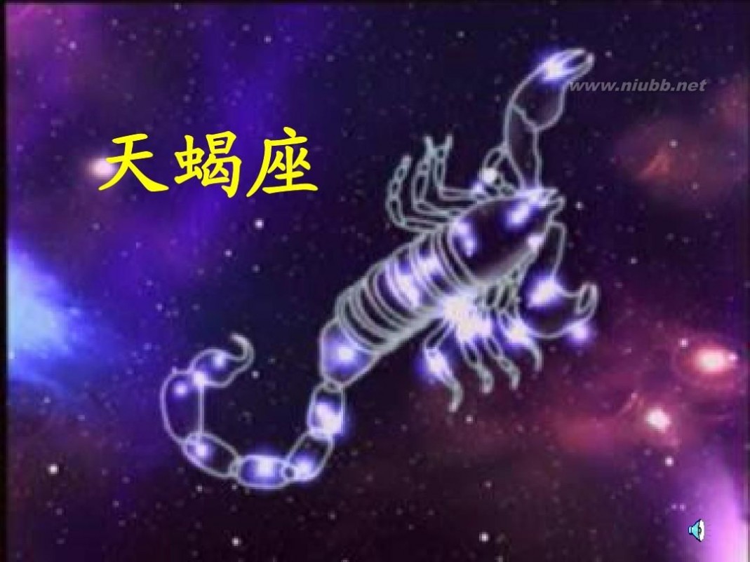 数星星的孩子 数星星的孩子ppt