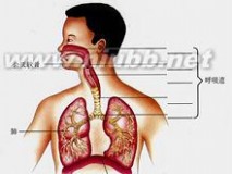 呼吸性碱中毒：呼吸性碱中毒-简介，呼吸性碱中毒-病因_呼吸性碱中毒
