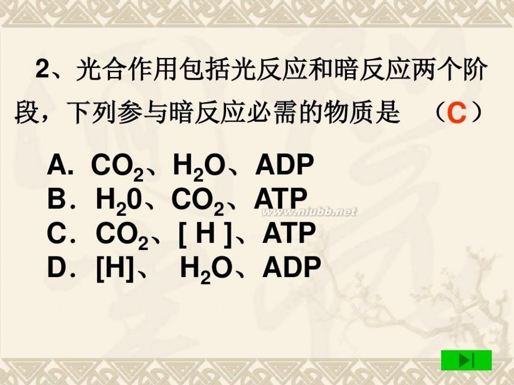 光合作用 光合作用课件