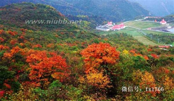 成都周边一日自驾游 成都周边一日游 秋天醉美的12个红叶地推荐