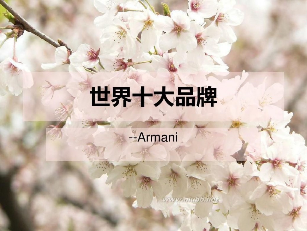 armani exchange Armani品牌介绍