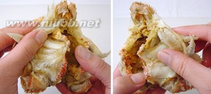 特价买回毛螃蟹与北海道红毛螃蟹的“名人”吃法图解