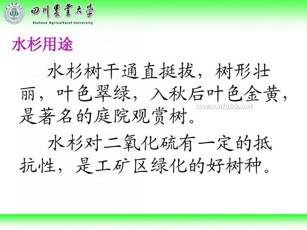 林学概论 四川农业大学 林学概论课件