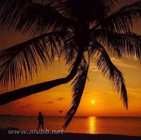 马尔代夫风景图片 马尔代夫风光图片，马尔代夫风景图