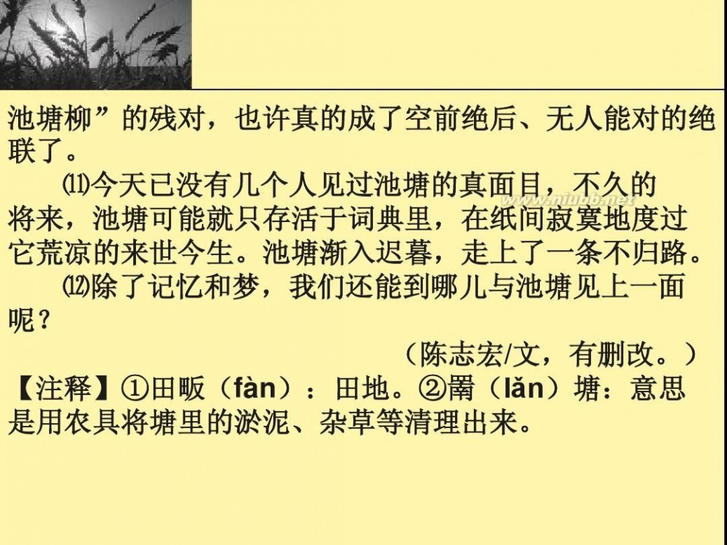 萧萧池塘暮阅读答案 萧萧池塘暮