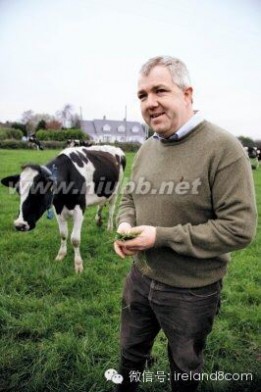 奶源 解密爱尔兰，世界优质奶源之一，真OR假？