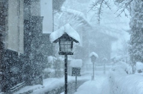 描写冬雪的诗句 描写冬雪的优美语句_形容冬雪的经典句子