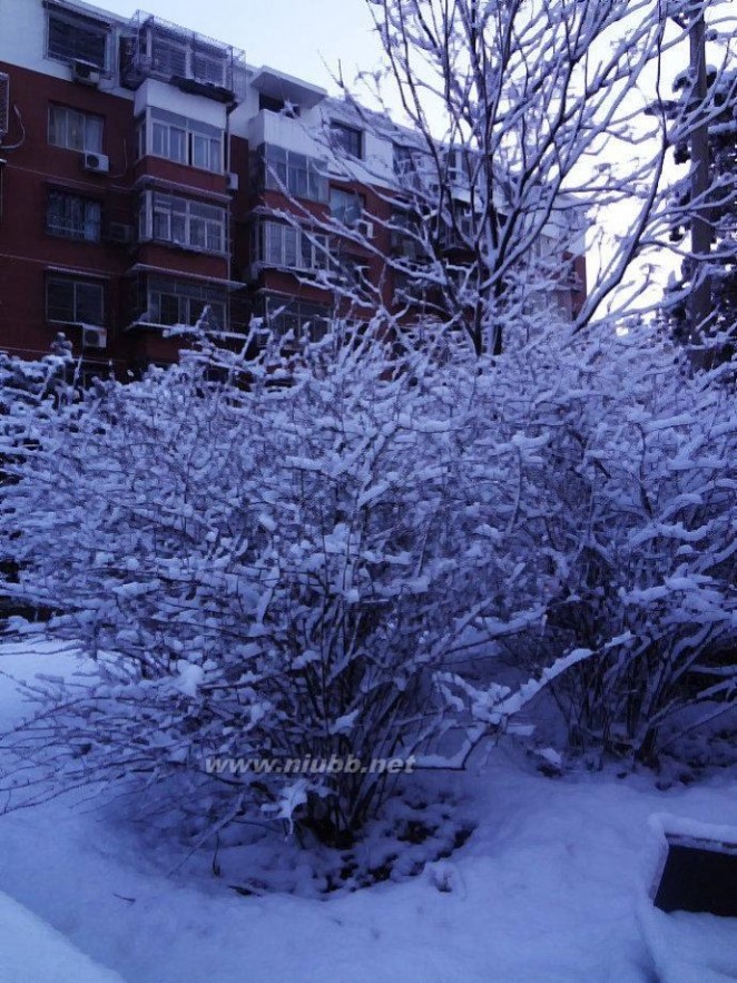 七律春分日喜雪——北京十年来最美的雪景（2013.3.20北京雪景图片）
