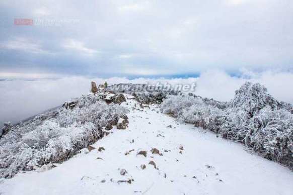 龙王山 龙王山：艰难跋涉只为那震撼雪景