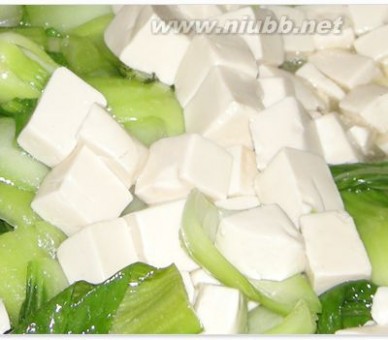 青菜豆腐 青菜豆腐,青菜豆腐的做法,青菜豆腐的家常做法
