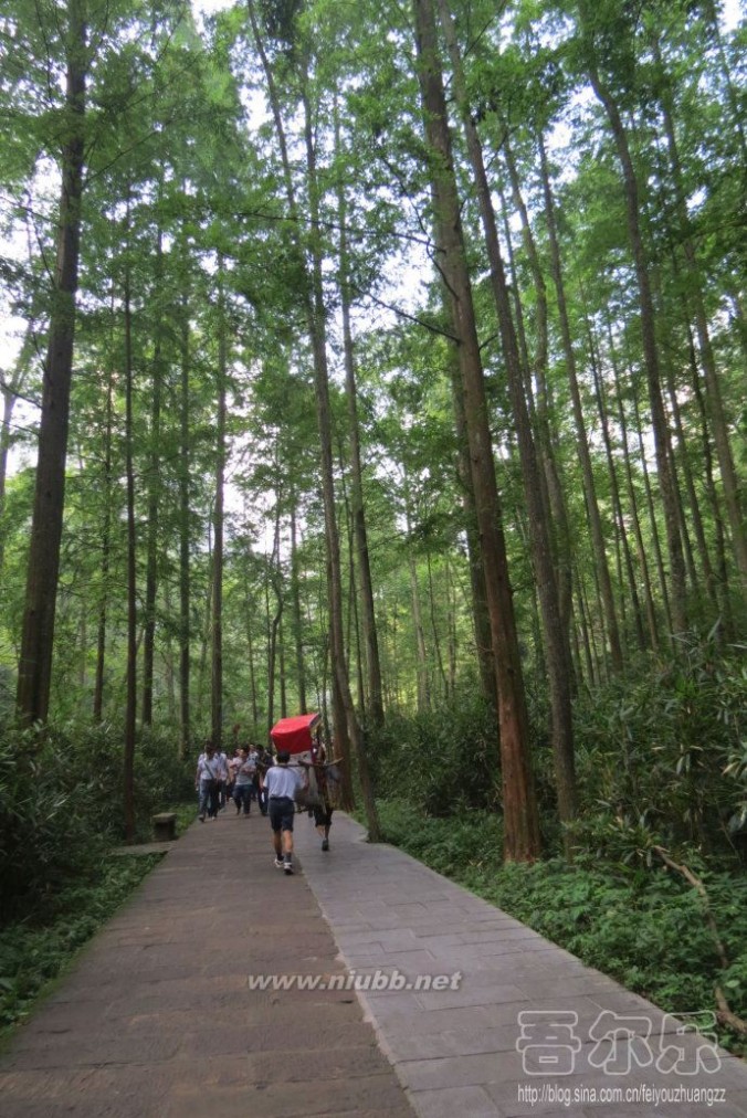 张家界国家森林公园--金鞭溪景区（一）