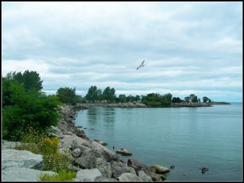 安大略湖图片