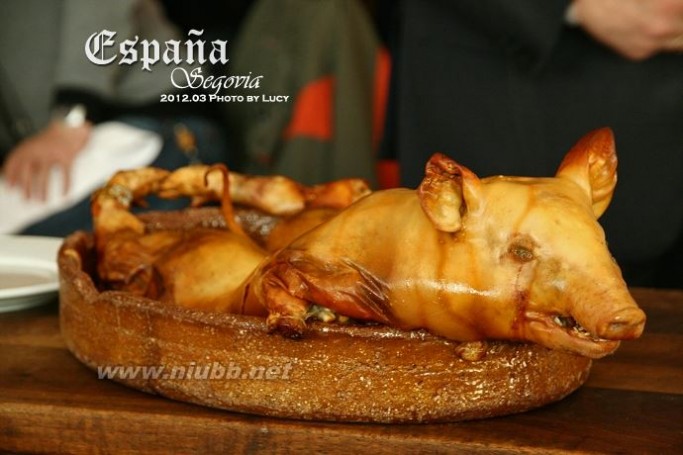 【西班牙·塞戈维亚】用盘子切的烤乳猪「百年老字号Candido餐厅」