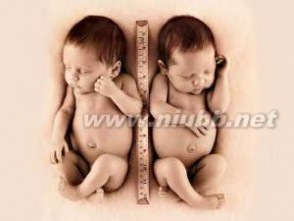 双胞胎[胎生动物一次怀胎生下2个个体]：双胞胎[胎生动物一次怀胎生下两个个体]-基本概述，双胞胎[胎生动物一次怀胎生下两个个体]-诊断判别_双胞胎