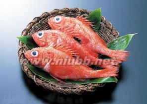 红鲷鱼：红鲷鱼-基本内容，红鲷鱼-由雌变雄原因_鲷鱼的做法