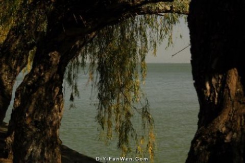 滇池秋色图片